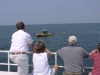 2003