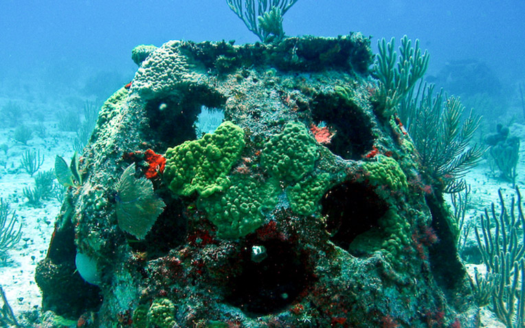 Eternal Reefs - burial at sea reef ball