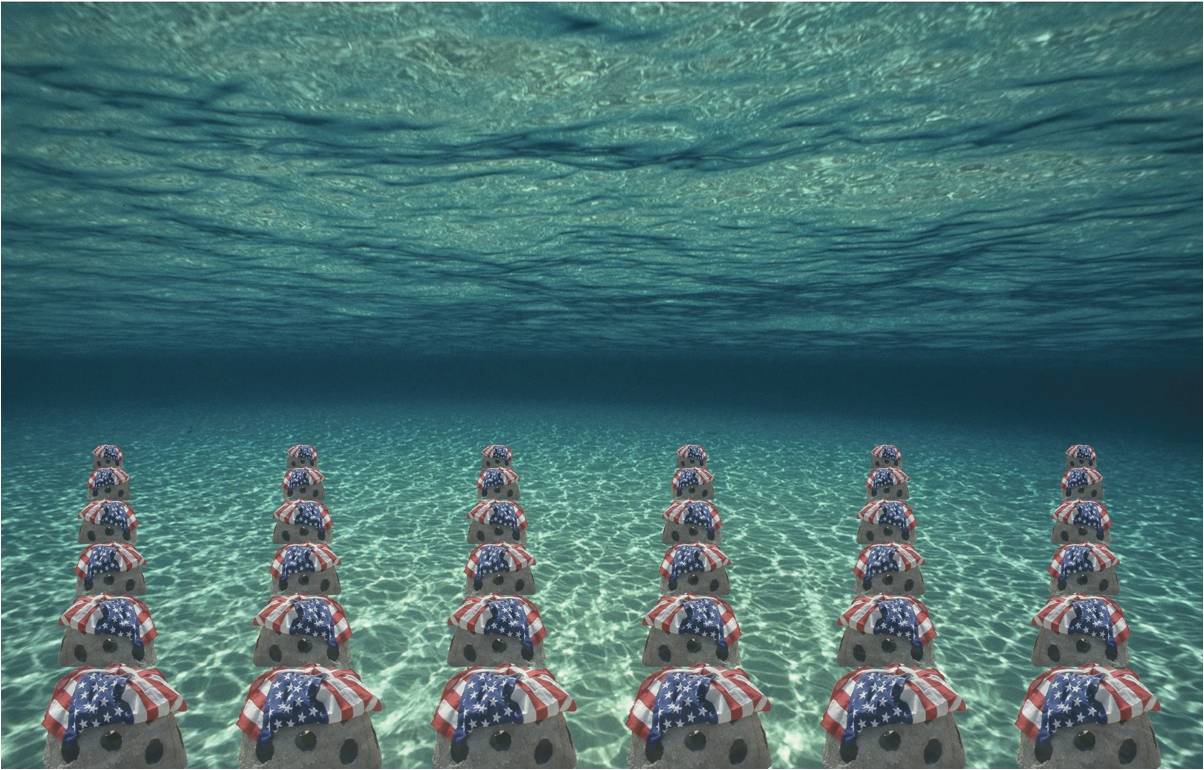 underwater reef balls with American flags draped over them