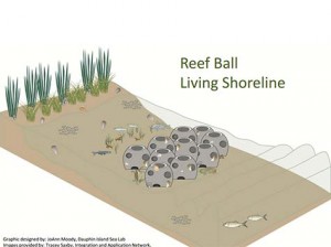 Reef Ball Living Shore Line Design