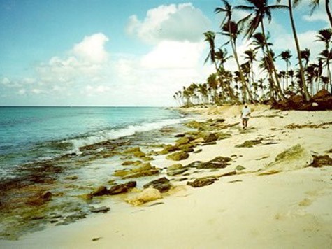 Living-Shoreline-and-Beach-Erosion-Control