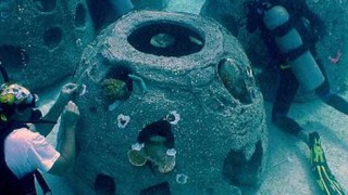 Reef Balls - Coral Transplanting